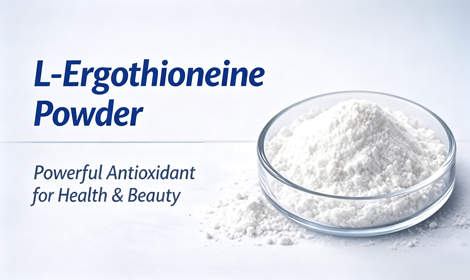 Ergothioneine Powder Benefits: Antioxidant, Anti-Aging, and Skin Health Applications